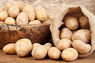 《SNK vs. 卡普空：卡片斗士对决》现已登陆Switch平台